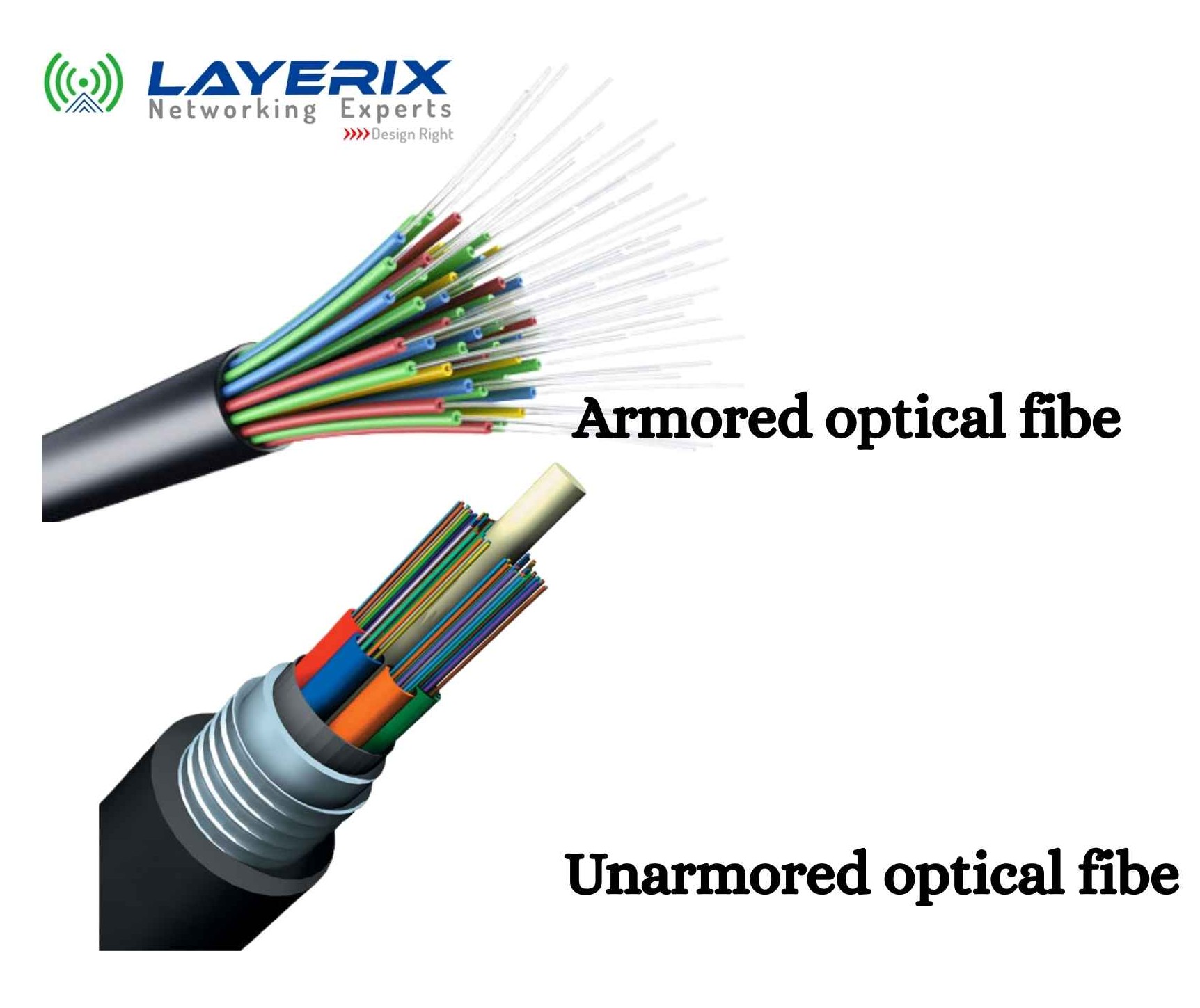 Armored and unarmored fiber